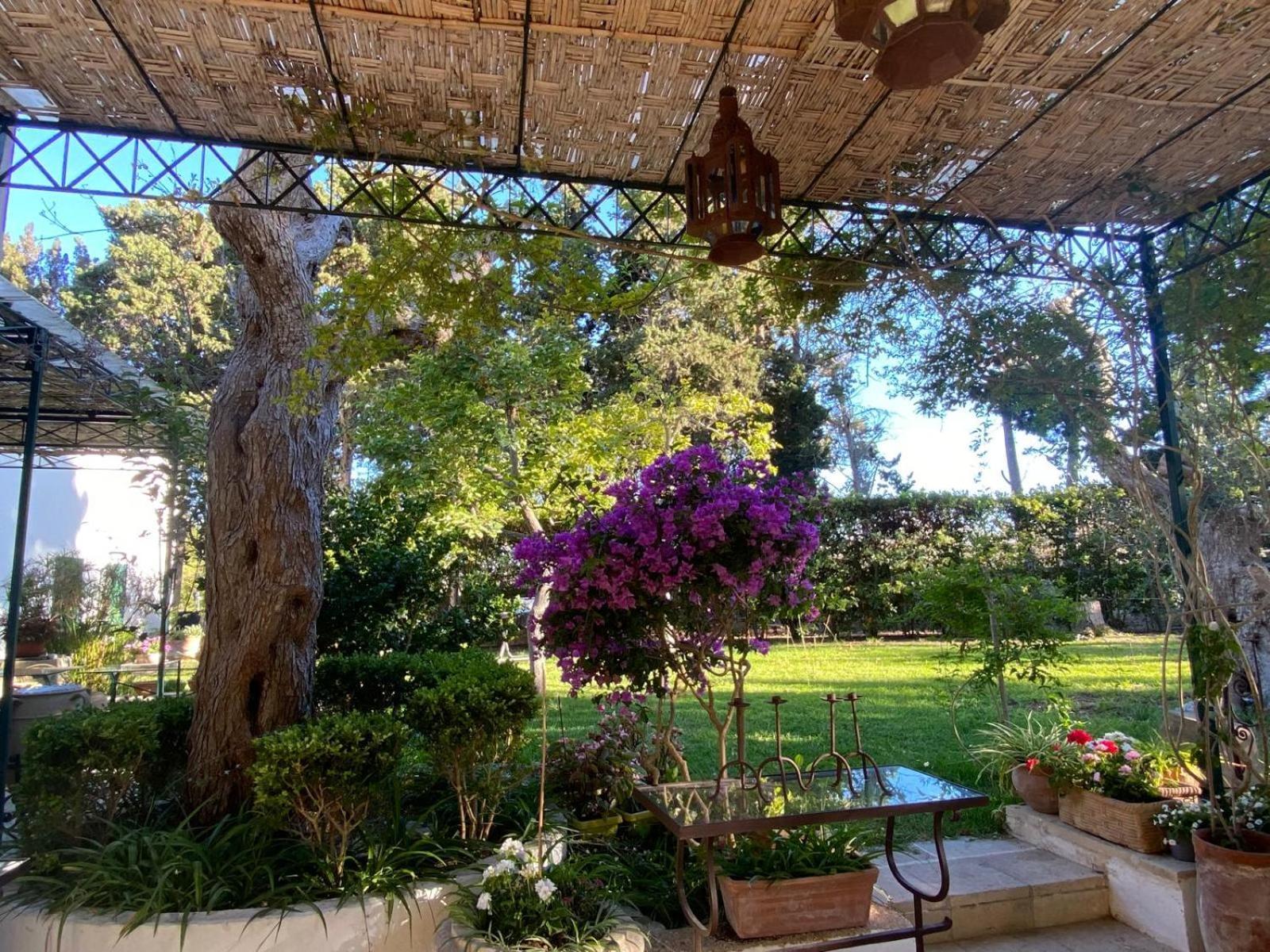 Tenuta Belvedere Otranto Exteriör bild