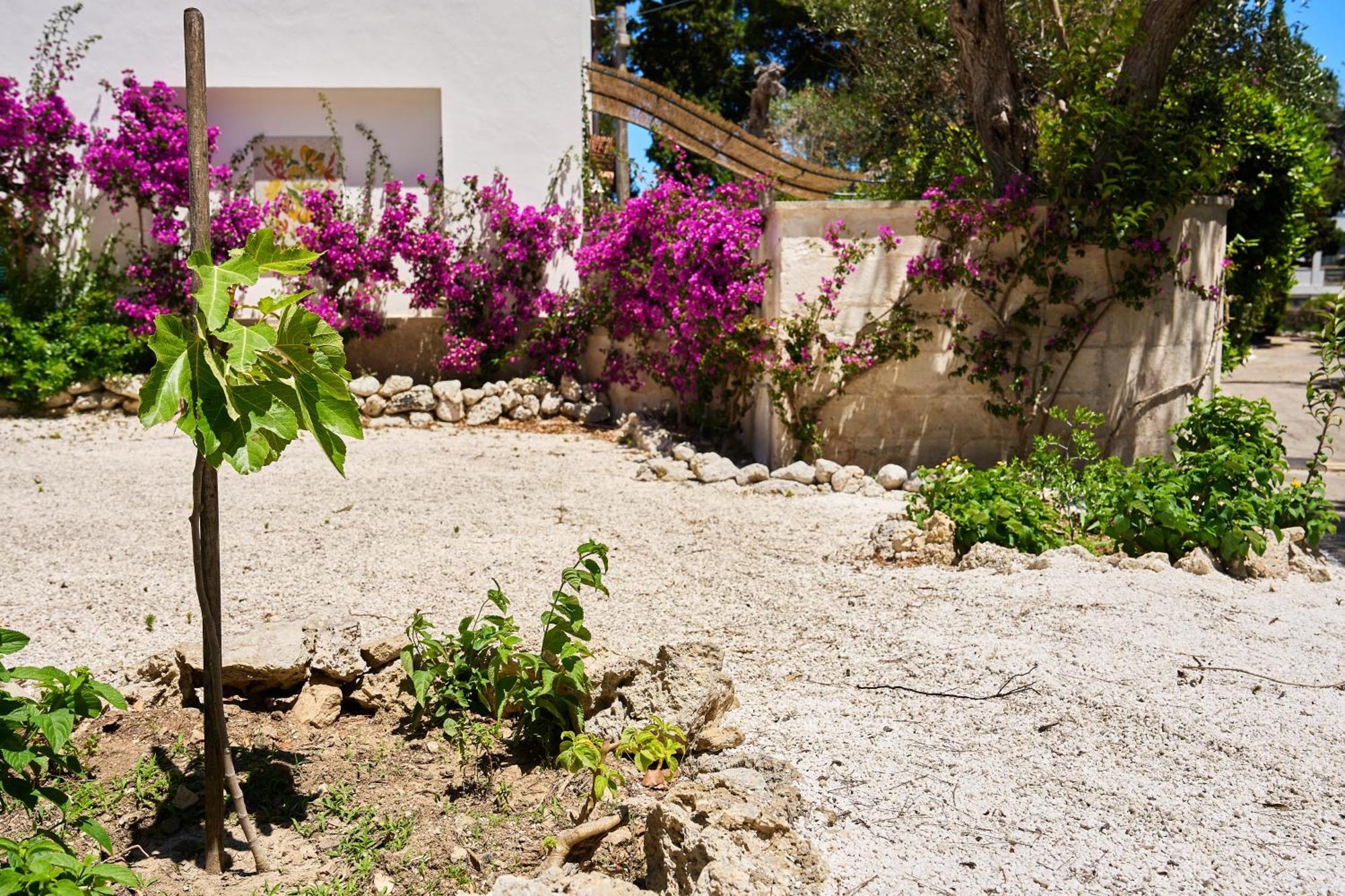 Tenuta Belvedere Otranto Exteriör bild