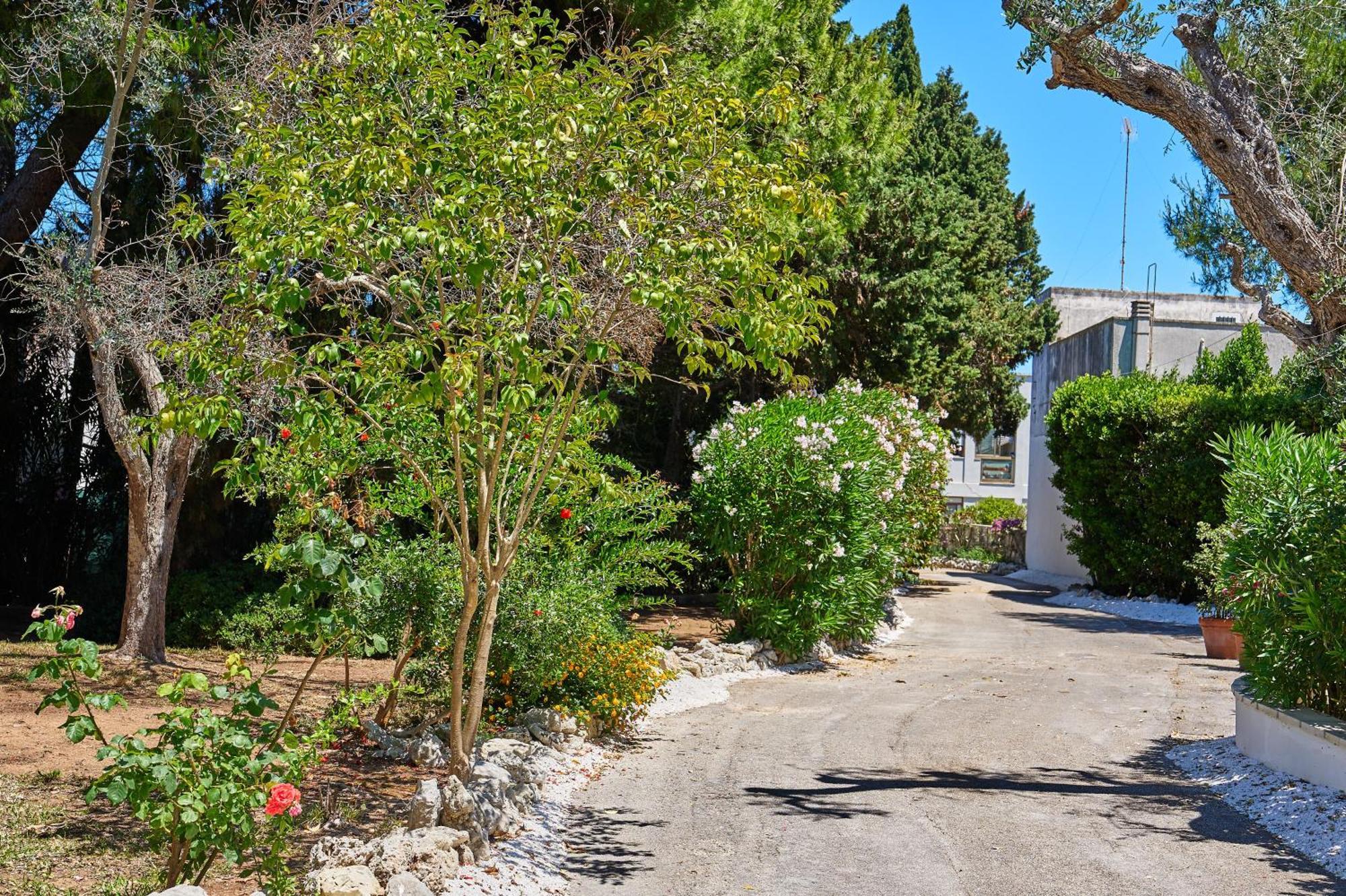 Tenuta Belvedere Otranto Exteriör bild